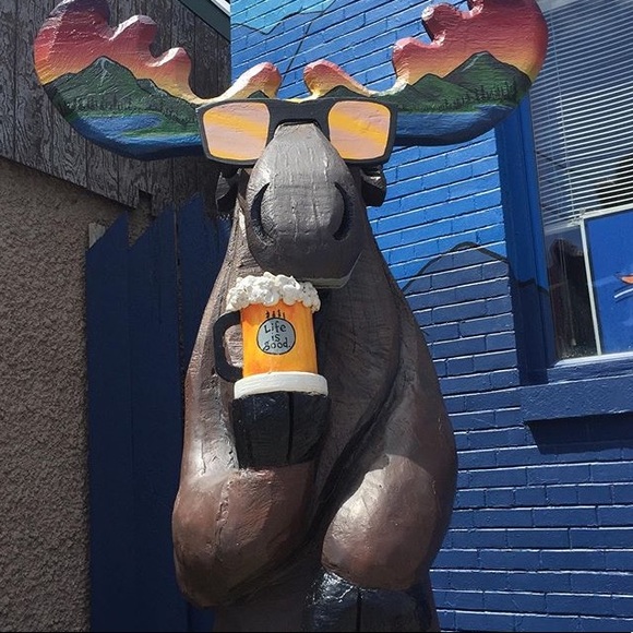 Meet your Posher, Lauren - Picture 1 of 1